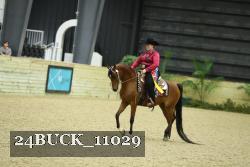 24BUCK_11029 proof