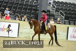24BUCK_11031 proof