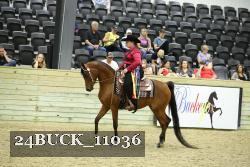 24BUCK_11036 proof