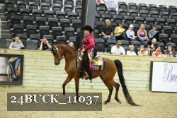 24BUCK_11037 proof