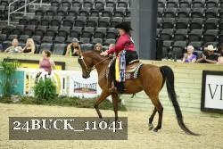 24BUCK_11041 proof