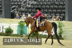 24BUCK_11042 proof