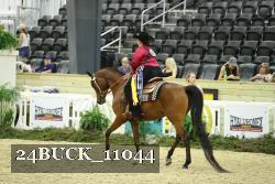 24BUCK_11044 proof