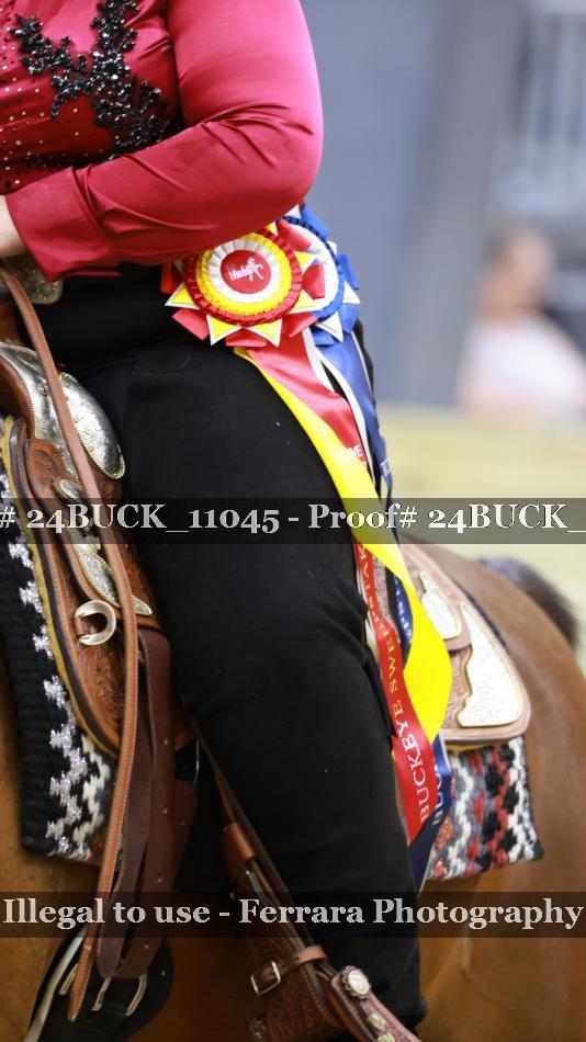 Proof 24BUCK_11045
