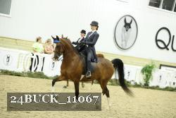 24BUCK_11067 proof