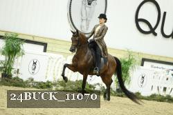 24BUCK_11070 proof