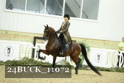 24BUCK_11072 proof