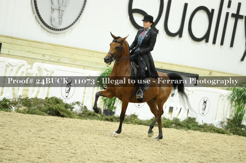 Proof 24BUCK_11073