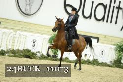 24BUCK_11073 proof