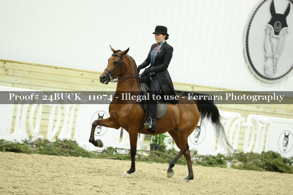 Proof 24BUCK_11074