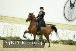 24BUCK_11074 proof