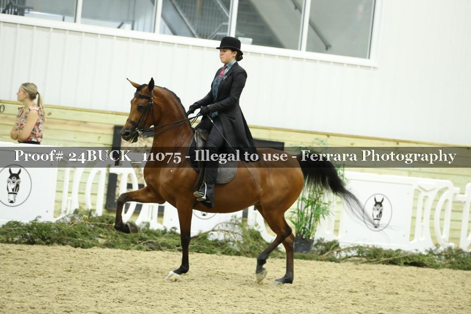 Proof 24BUCK_11075