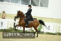 24BUCK_11075 proof