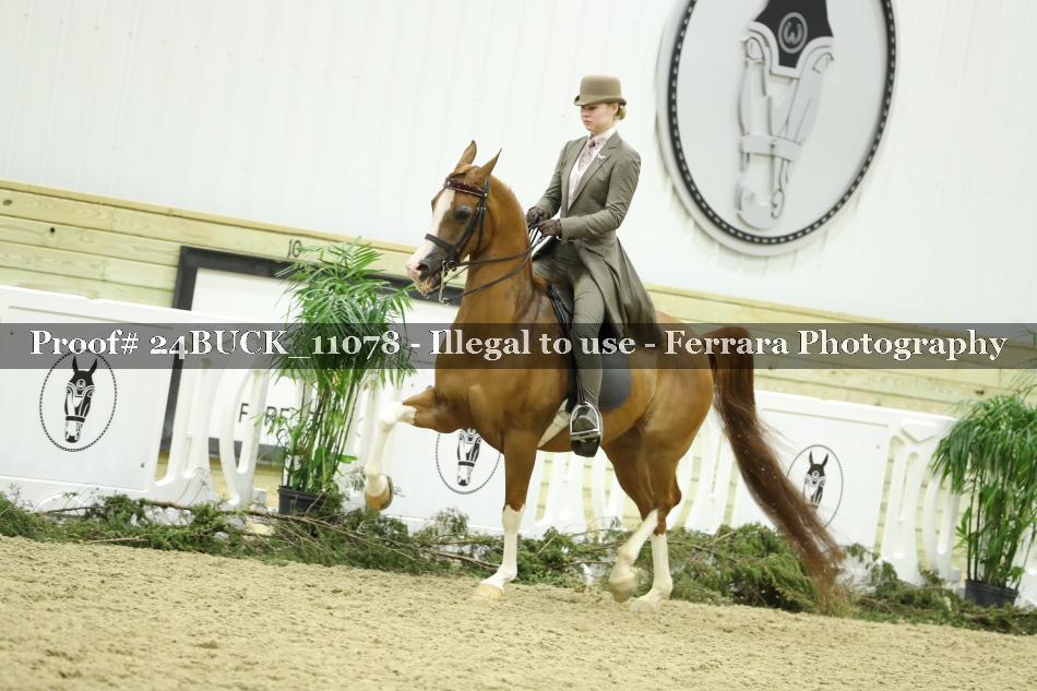 Proof 24BUCK_11078