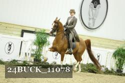 24BUCK_11078 proof