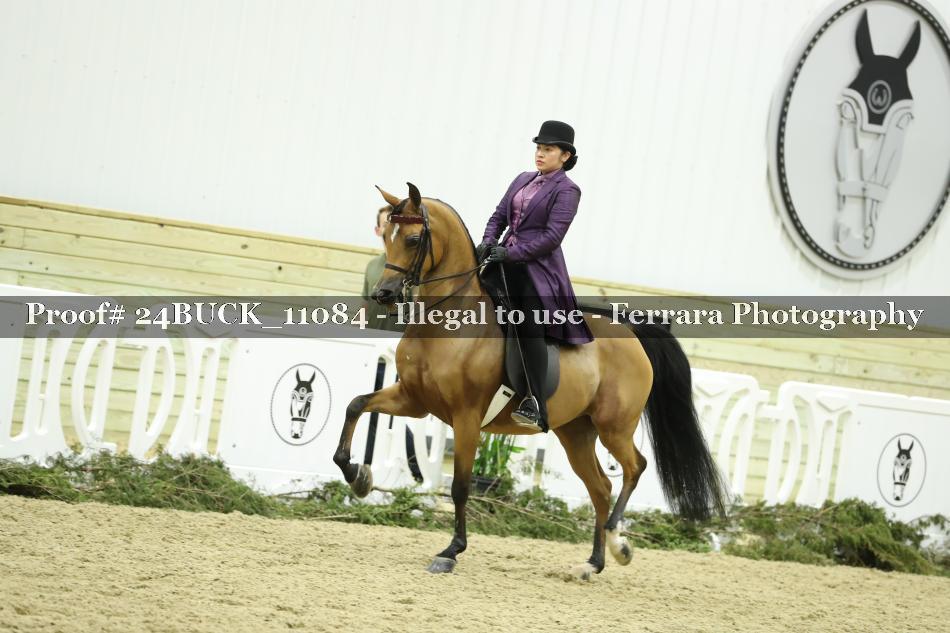 Proof 24BUCK_11084