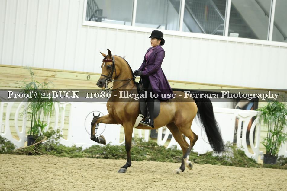 Proof 24BUCK_11086