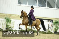 24BUCK_11086 proof