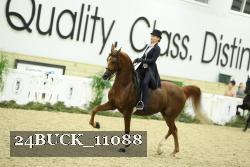 24BUCK_11088 proof