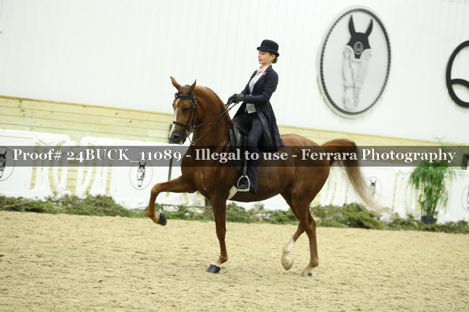 Proof 24BUCK_11089