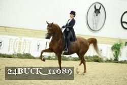 24BUCK_11089 proof