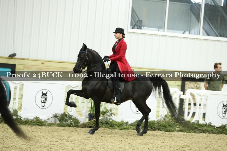 Proof 24BUCK_11092