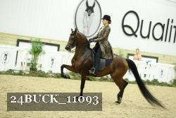 24BUCK_11093 proof