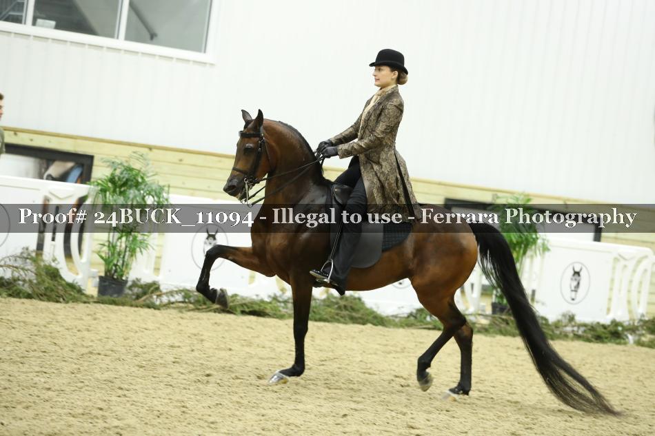 Proof 24BUCK_11094