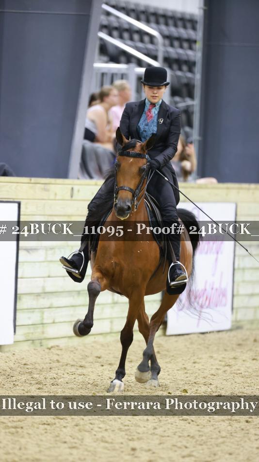 Proof 24BUCK_11095