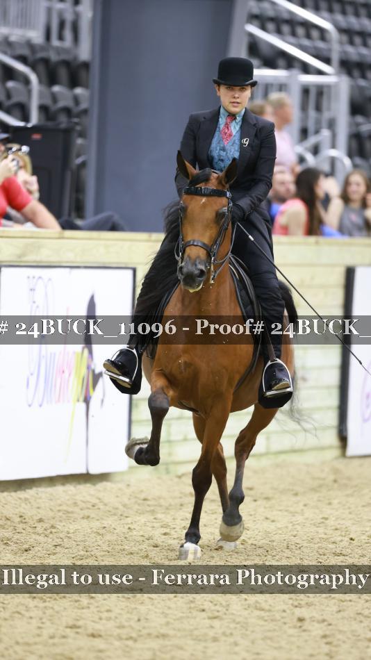 Proof 24BUCK_11096