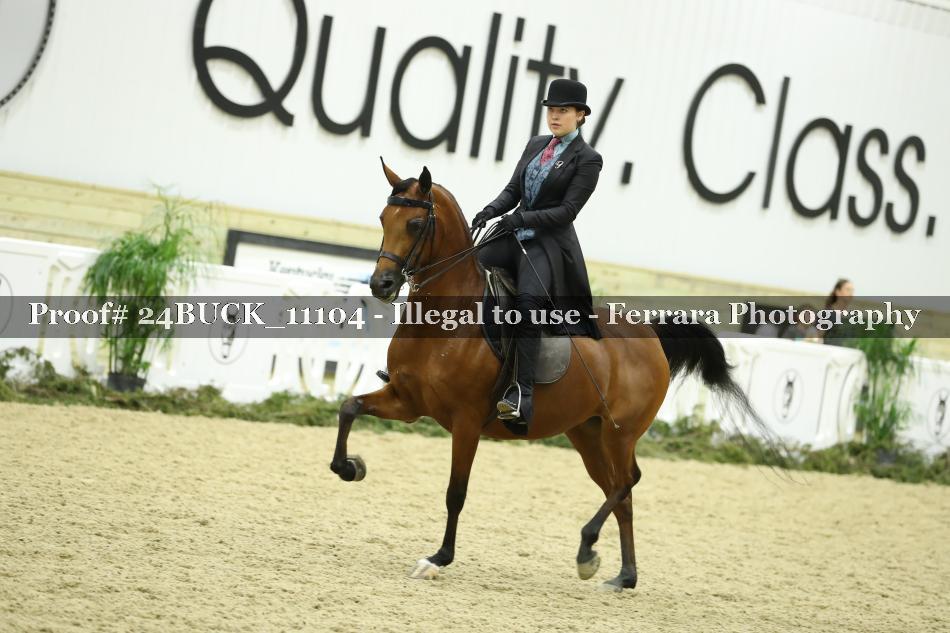 Proof 24BUCK_11104