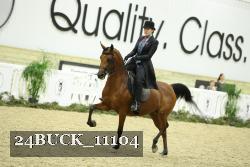 24BUCK_11104 proof