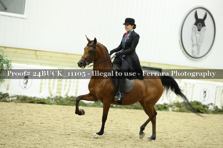 Proof 24BUCK_11105