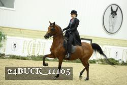 24BUCK_11105 proof