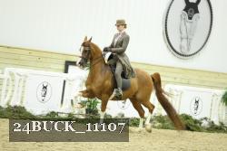 24BUCK_11107 proof