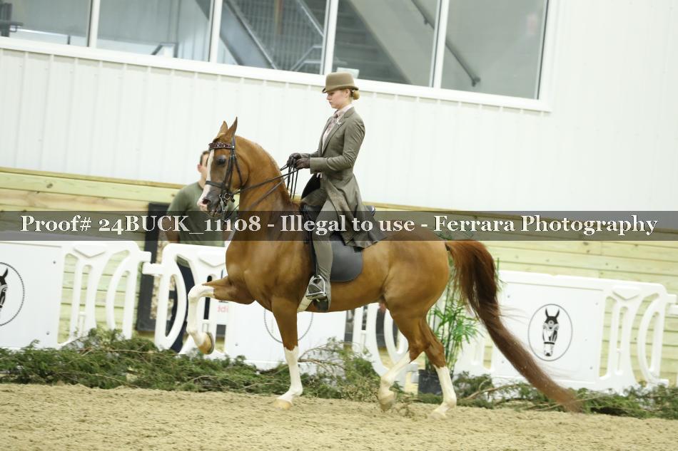 Proof 24BUCK_11108