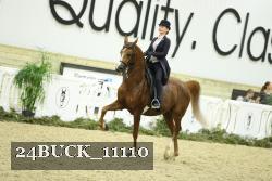 24BUCK_11110 proof