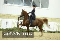 24BUCK_11112 proof