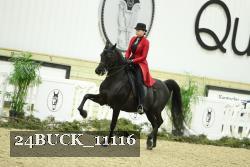 24BUCK_11116 proof