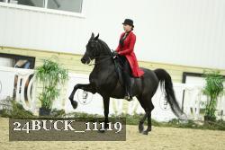 24BUCK_11119 proof