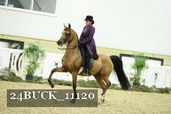 24BUCK_11120 proof
