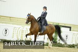 24BUCK_11122 proof