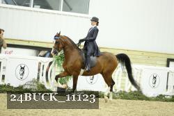 24BUCK_11123 proof