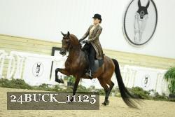 24BUCK_11125 proof