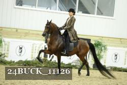 24BUCK_11126 proof