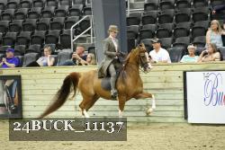 24BUCK_11137 proof
