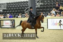 24BUCK_11142 proof