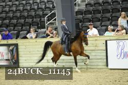 24BUCK_11145 proof