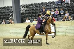 24BUCK_11147 proof