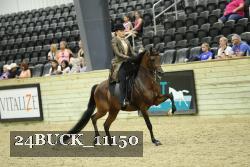 24BUCK_11150 proof